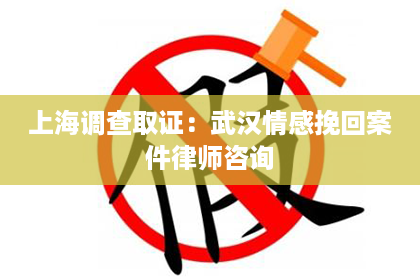上海调查取证：武汉情感挽回案件律师咨询