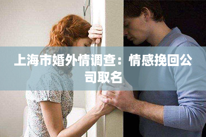 上海市婚外情调查：情感挽回公司取名