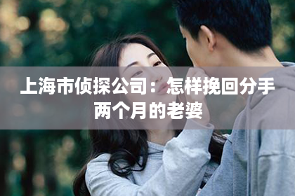 上海市侦探公司：怎样挽回分手两个月的老婆