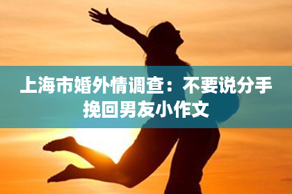 上海市婚外情调查：不要说分手挽回男友小作文