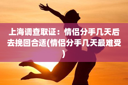 上海调查取证：情侣分手几天后去挽回合适(情侣分手几天最难受)