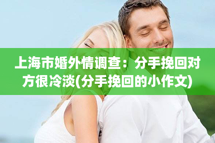 上海市婚外情调查：分手挽回对方很冷淡(分手挽回的小作文)